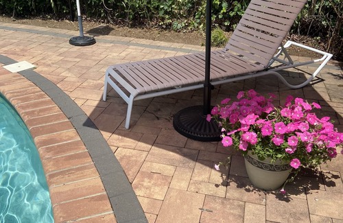 Locust Valley Maison | 🌸🌼SUNSATIONAL Locust Valley Village Charmer🏖🎊HIGH SPEED INTERNET!💫