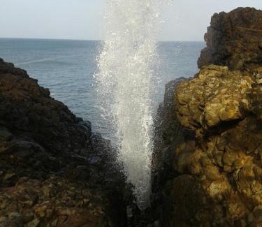 Matara Maison | Sunset Surfing Beach Resort
