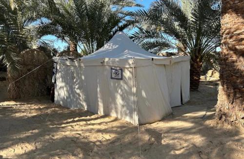 Siwa Autre | Sunset Tree Camp