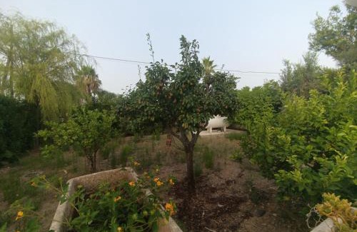 Scala di Furno Maison | Sunset Villa
