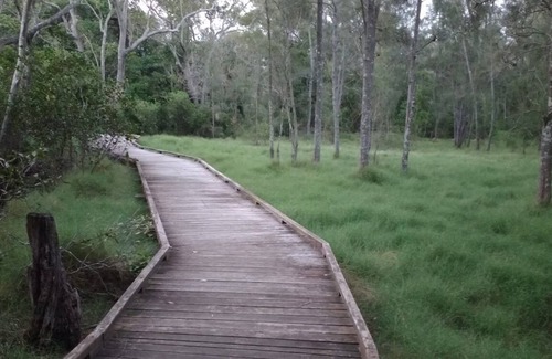 Murrumba Downs Maison | Sunsets views by the infinity pool overlooking a Koala Eucalyptus Reserve.