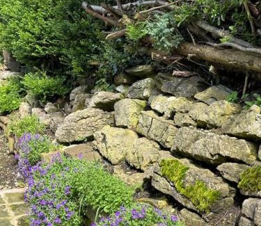 Horwich Maison | Sunshine cottage