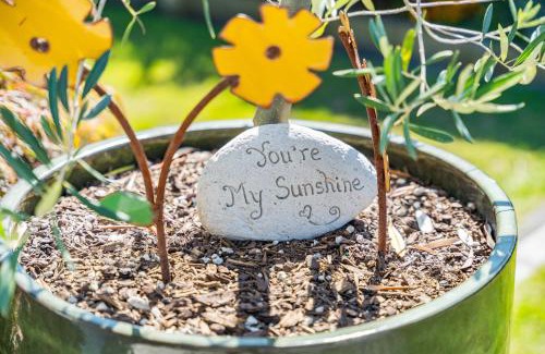 Taupo Maison | Sunshine Cottage