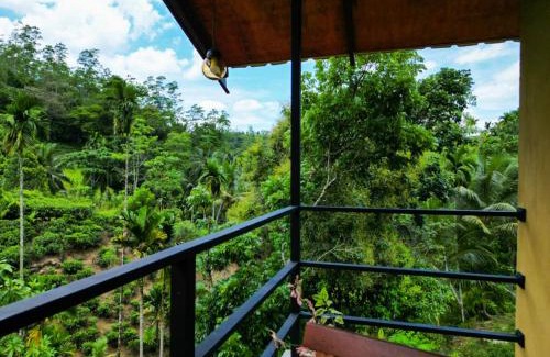 Kotapola Hôtel | Sunshine Forest Lodge - Sinharaja