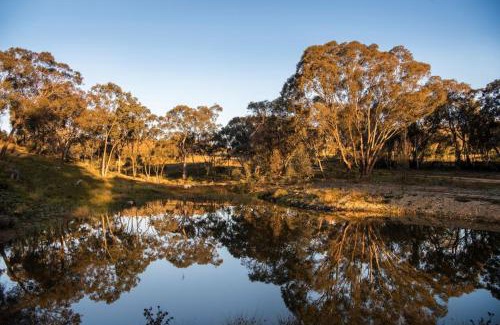 Grattai Cabine | Sunstone - 2 Bed Eco Cabin - Kundalini Lodge