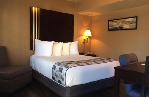 Colonie Hôtel | Super 8 by Wyndham Albany