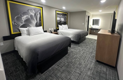 Lubbock Hôtel | Super 8 BY Wyndham Lubbock Airport