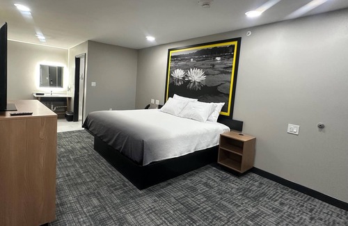 Lubbock Hôtel | Super 8 BY Wyndham Lubbock Airport