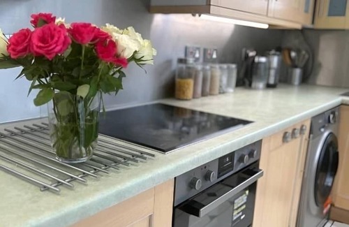Thornton Maison | SUPERB SNUG studio sleeps 2 south london