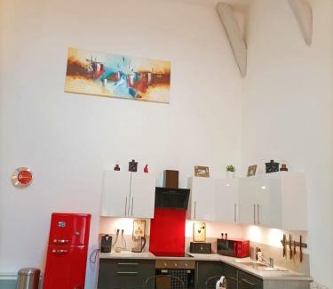 Chalons-en-Champagne Appartement | Superbe appartement type loft en duplex rue Buat
