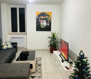 Roanne Appartement | Superbe appartement