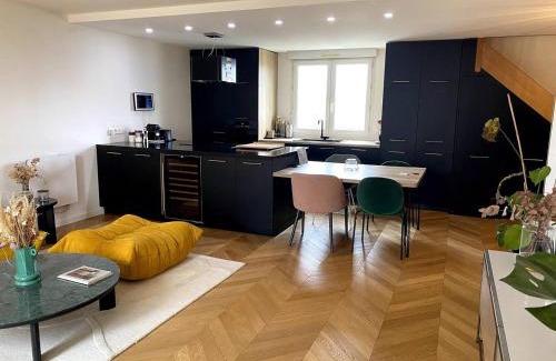 Yves Farge - Le Fleuve Appartement | Superbe duplex centre de lyon- rooftop et parking