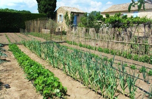 Bagnols-sur-Ceze Maison | Superbe mas Avec Piscine en Pierre au Milieu des Vignes Dans Domaine Viticole
