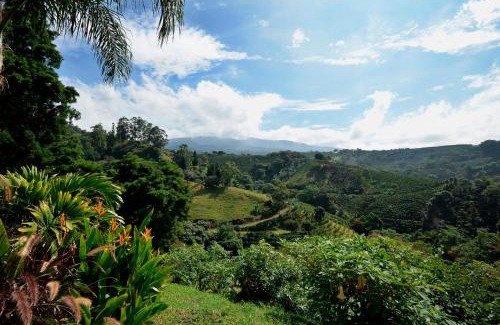 Cajon Appartement | Supercostarica