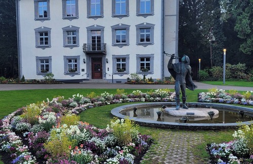 Bad Saeckingen Appartement | Superior double room with shower and WC