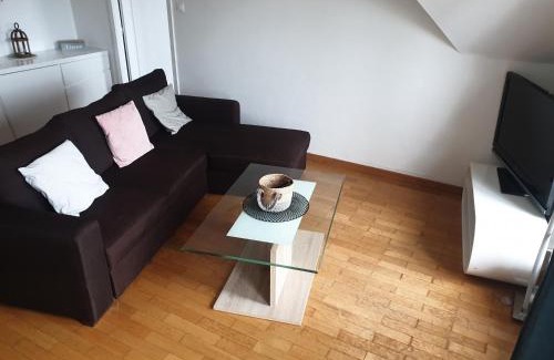 Haguenau Appartement | Sur les toits du centre