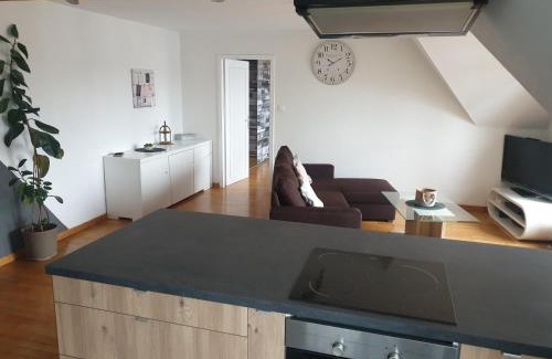 Haguenau Appartement | Sur les toits du centre
