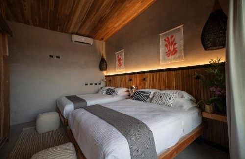 Jaco Cabine | Surf Synergy All-Inclusive Surf and Wellness Retreat