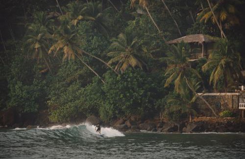 Midigama Hôtel | Surfescape Sri Lanka