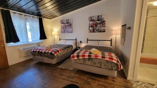 Sussex Hôtel | Sussex Motel