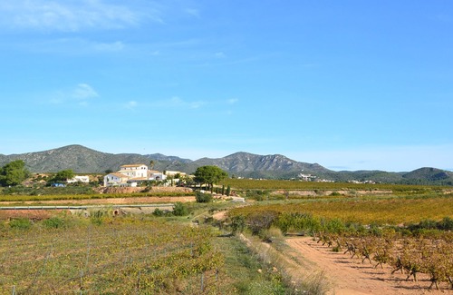 La Bisbal del Penedes Cottage | Mas du XVII siècle au mileu des vignes du Penedes, avec piscine privée