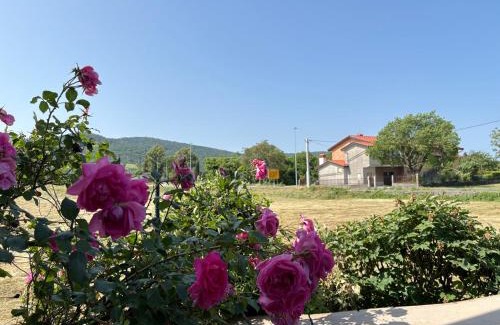 Lokev Appartement | Suzi Apartments