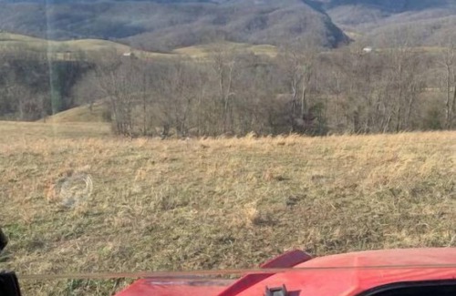 Tannersville Maison | SW Virginia Mountains. 7 Beds, Amazing Views, Farm