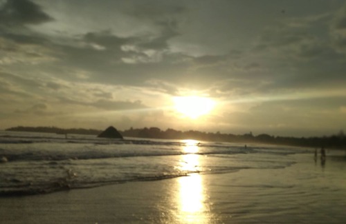 Weligama Maison | Swallow bird guest house Weligama beach