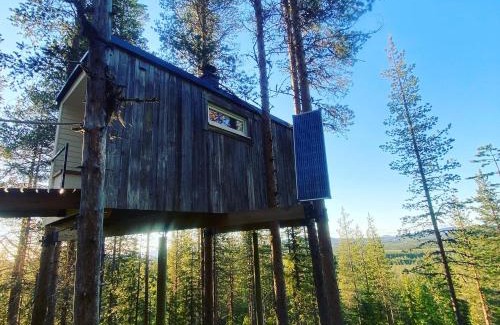 Arvidsjaur Municipality Maison | Swedish Treehouse
