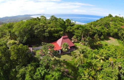 Javilla Maison | Sweet Jungle Beach