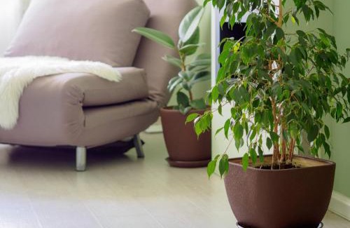 Boryspil Appartement | Sweet-S
