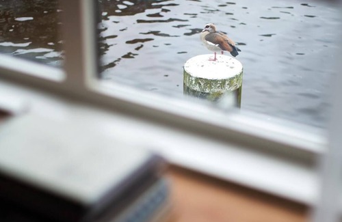 Amsterdam West Appartement | SWEETS - Kinkerbrug