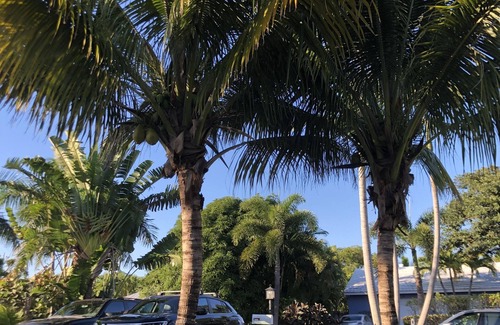 Delray Beach Cottage | Swinton Cottage by Delray Beach w/ free parking Unit A
