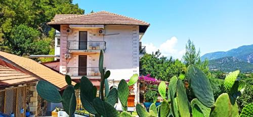 Adrasan Hôtel | Swiss Eviniz Hotel