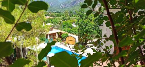 Adrasan Hôtel | Swiss Eviniz Hotel