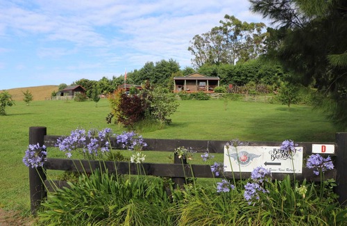 Whakamarama Cottage | Charmant Swiss - Kiwi Retreat, y compris le petit déjeuner continental.