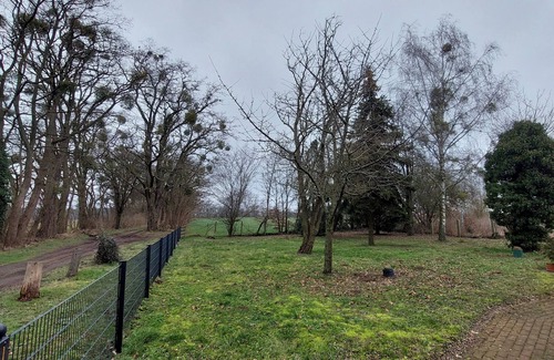 Reichenow-Moglin Maison | Switch off in a quiet location on the edge of the forest