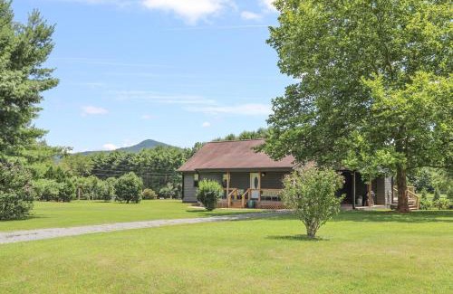 Afton Maison | Sycamore Shade