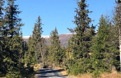 Nordre Land Maison | Sykkelhytte ved Slåtten i Synnfjellet