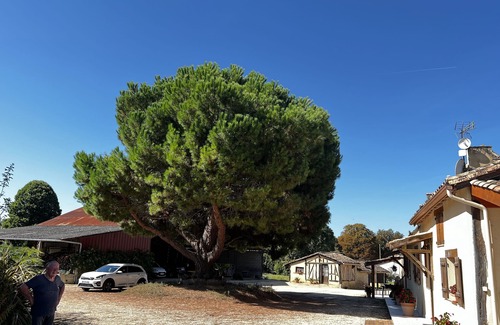 Cavarc Maison | Sympathique gite situé sur une ancienne exploitation agricolebelle terrasse,