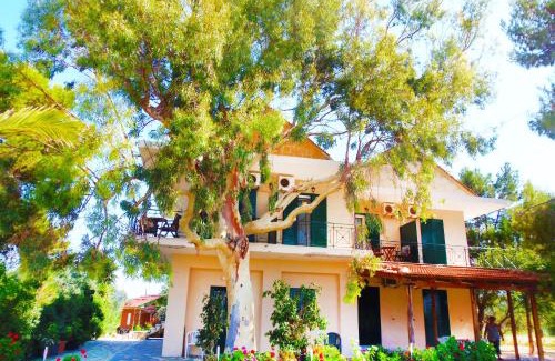 Kefalonia Appartement | Synodinos Studios