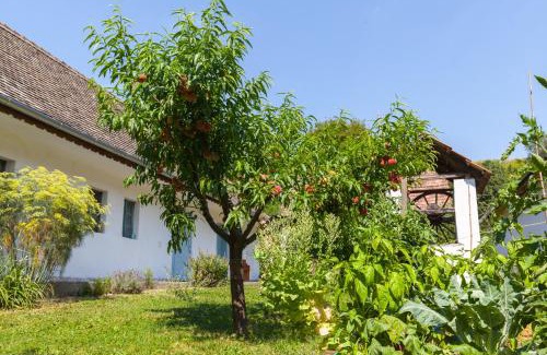 Szalka Appartement | Szálkai Vályogház Vendégház