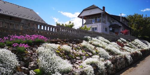 Villany Maison | Szabó Vendégház