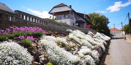 Villany Maison | Szabó Vendégház