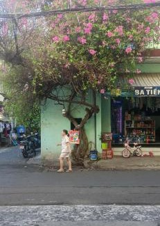 District 12 Maison | Tổ Ấm Nhỏ Staycation - Migration Season