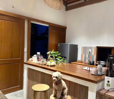 Mang Yang Appartement | Tổ Ong Kiến Bình Định