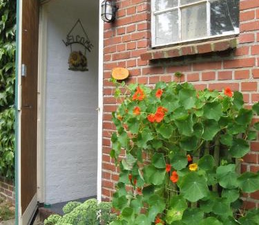 Exloo Maison | 't Zwaluwennest