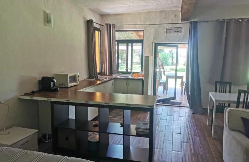 Vagos Chalet De Ski | T0 da Casa da Quinta S José