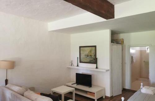 Vagos Chalet De Ski | T0 da Casa da Quinta S José