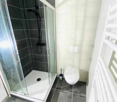 Paray-le-Monial Appartement | T1 hypercenter, 50m Basilica